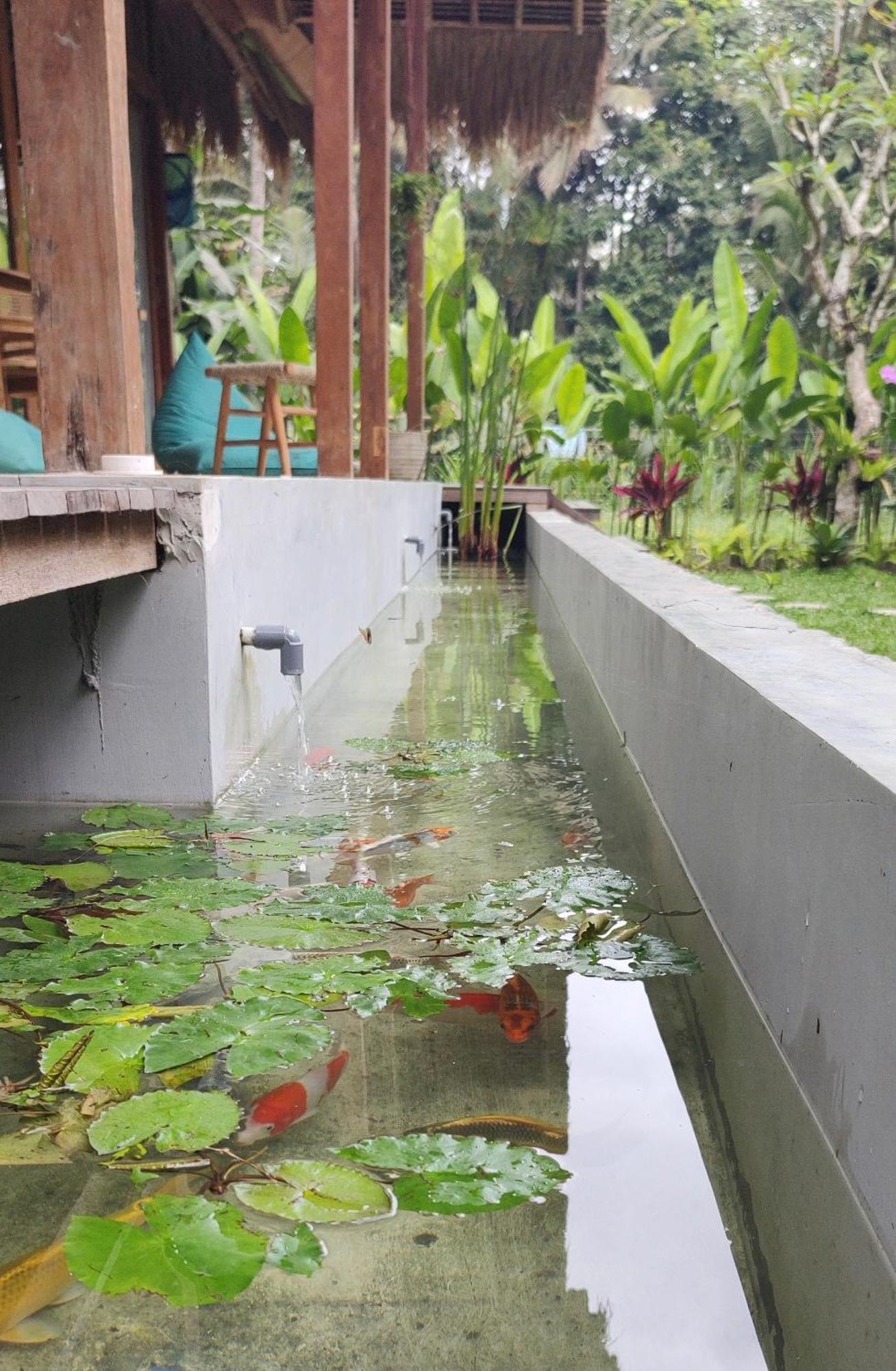 Rumah Guci Alojamento