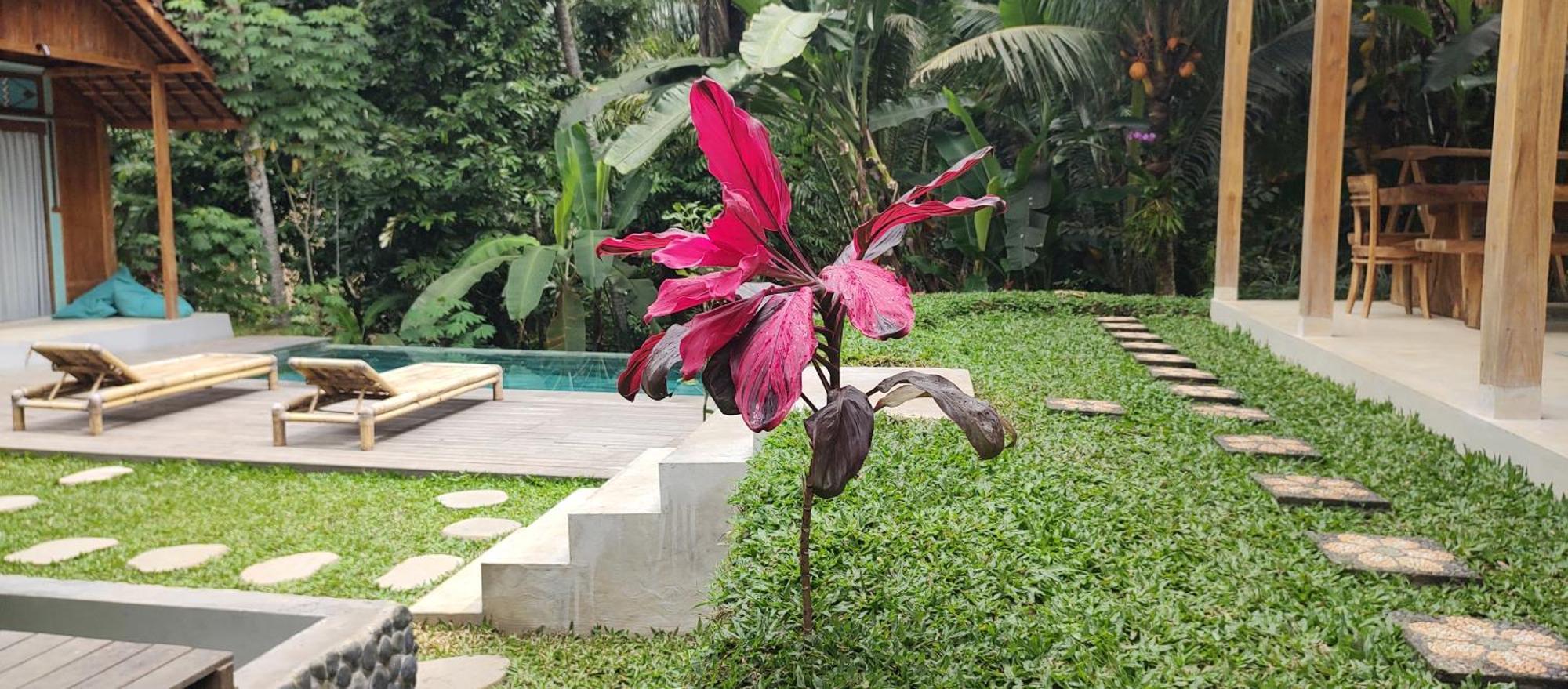 Rumah Guci Lodge