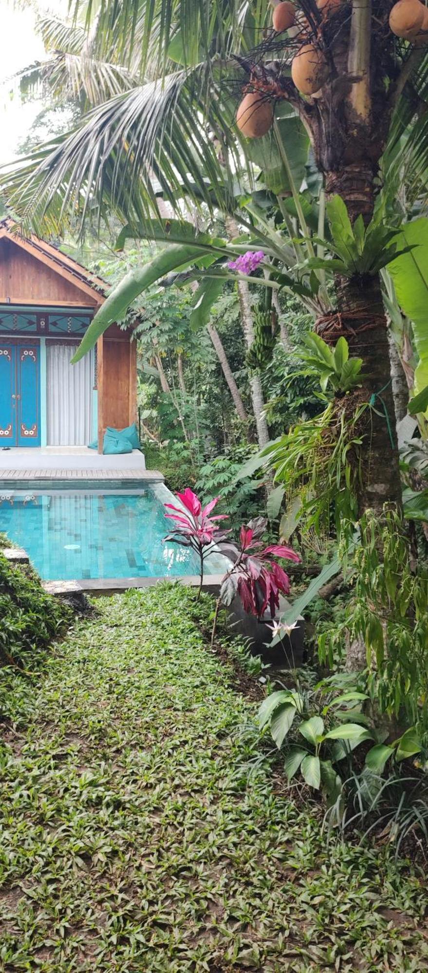 Lodge Rumah Guci Ubud (Bali)