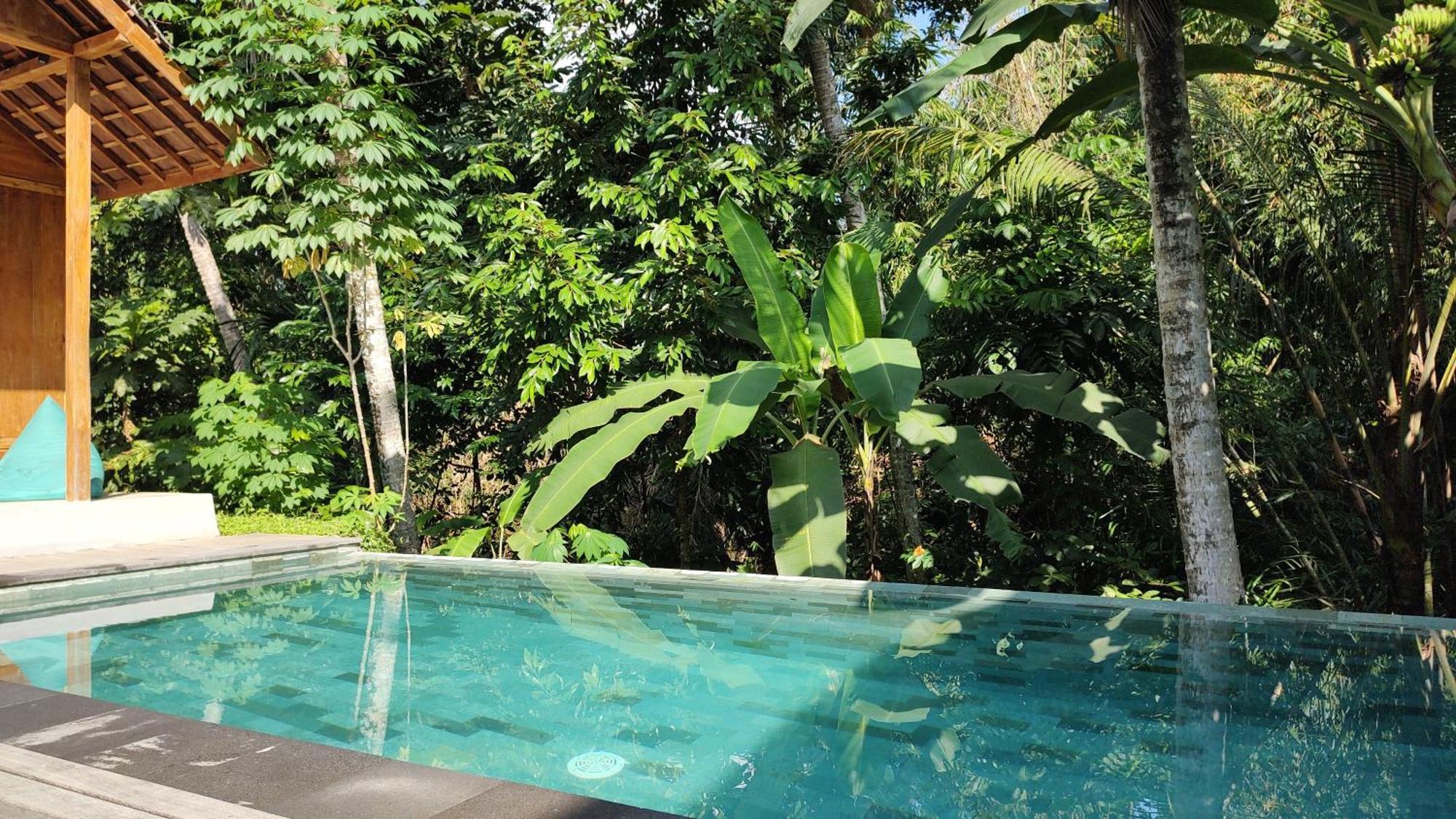Rumah Guci Ubud (Bali)