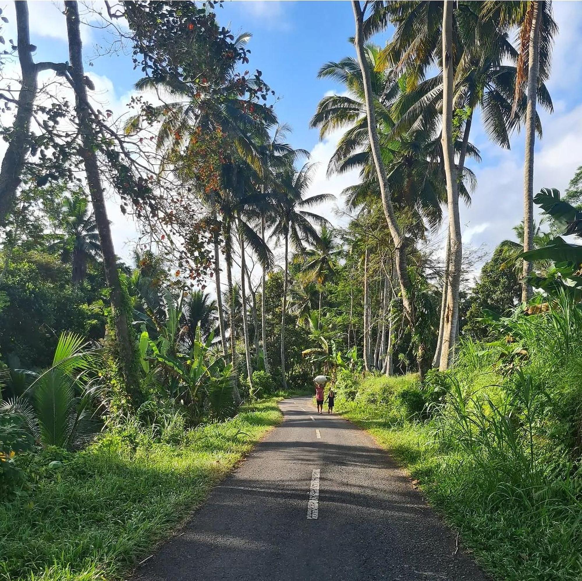 Rumah Guci * Ubud (Bali)